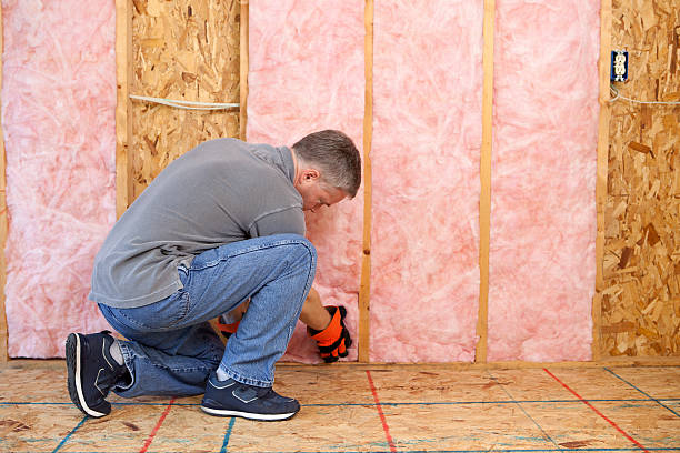 Best DIY Insulation Kits and Guidance in Greene, IA